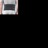 Back / Lumbar Support thumbnail
